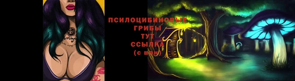 гидропоника Осинники