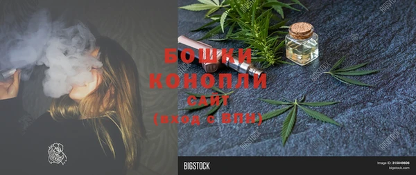 гидропоника Осинники