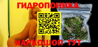 прущие грибы Ипатово