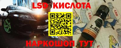прущие грибы Ирбит