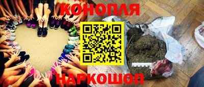 прущие грибы Ирбит